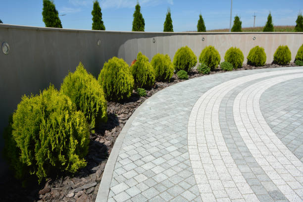 Best Best Driveway Pavers  in Santa Maria, CA